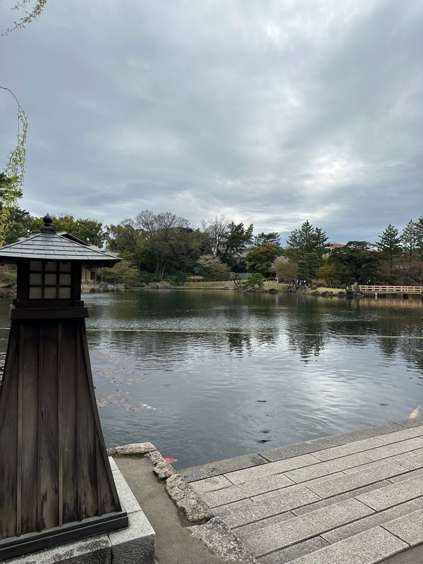 日本・愛知県「花見 at 徳川園&徳川美術館」の写真