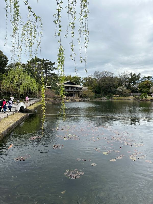日本・愛知県「花見 at 徳川園&徳川美術館」の写真