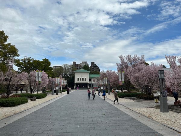 日本・愛知県「花見 at 徳川園&徳川美術館」の写真