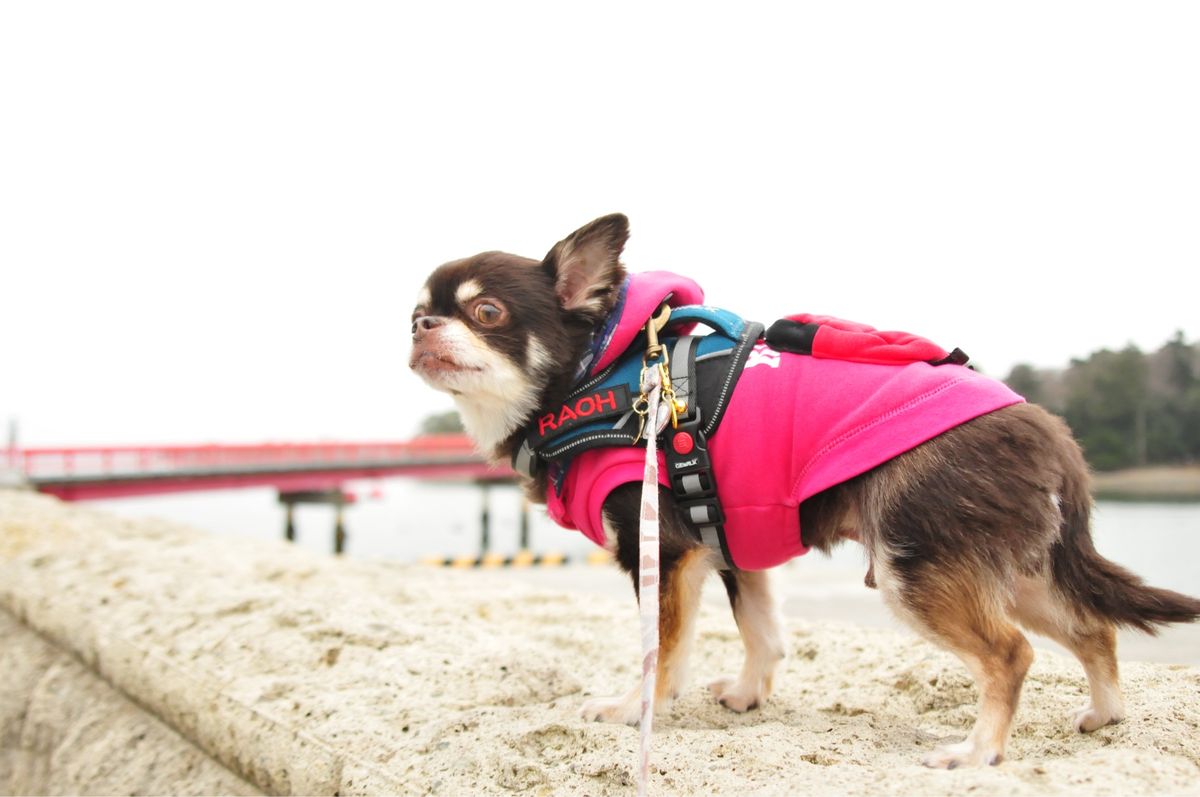 天気がイマイチで寒かったです😢