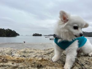 天気がイマイチで寒かったです😢