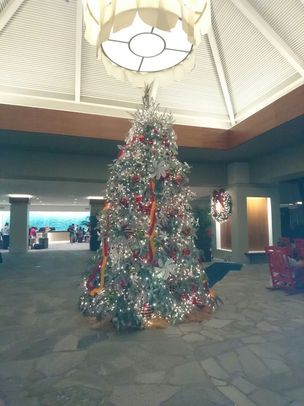 アメリカ(米国)・ワイキキ「年越し旅行 in ハワイ」の写真