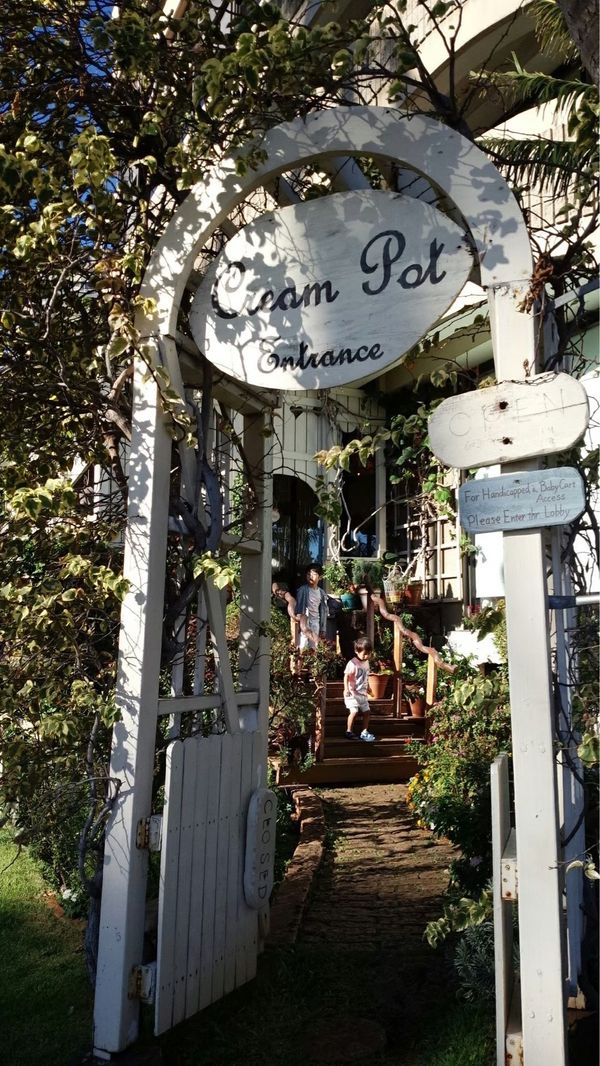 アメリカ(米国)・ワイキキ「年越し旅行 in ハワイ」の写真