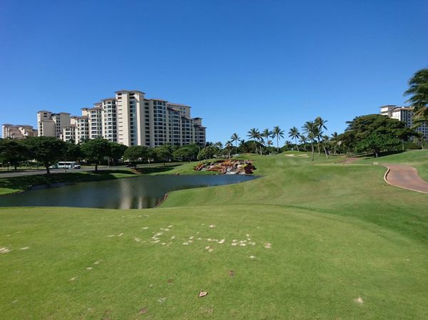 アメリカ(米国)・ワイキキ「年越し旅行 in ハワイ」の写真