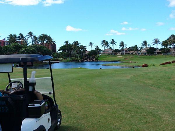 アメリカ(米国)・ワイキキ「年越し旅行 in ハワイ」の写真