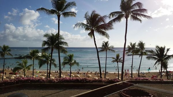 アメリカ(米国)・ワイキキ「年越し旅行 in ハワイ」の写真