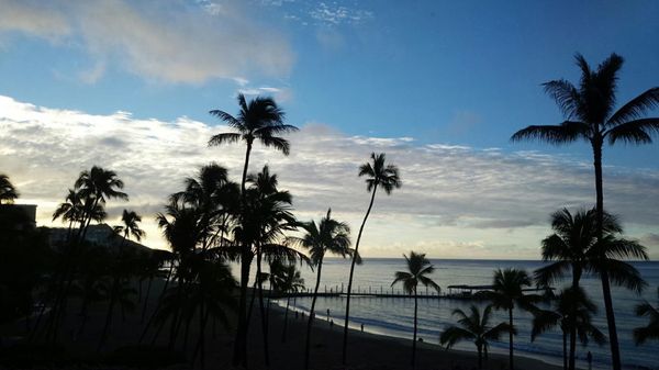 アメリカ(米国)・ワイキキ「年越し旅行 in ハワイ」の写真