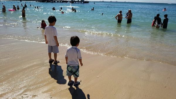 アメリカ(米国)・ワイキキ「年越し旅行 in ハワイ」の写真