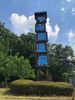 マムシは食べれなかったが