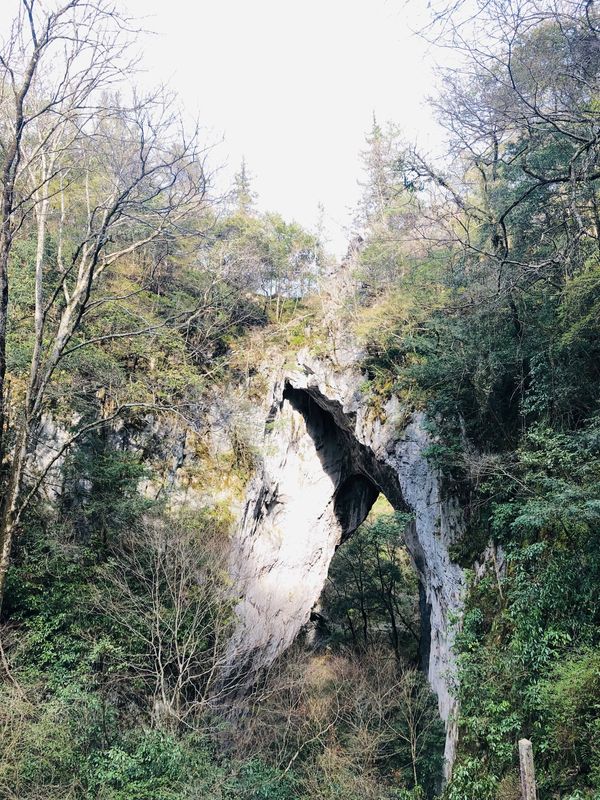 日本・岡山県「岡山県 新見」の写真