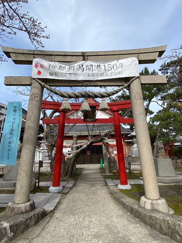 日本・新潟県「新潟ぶらり🚙」の写真