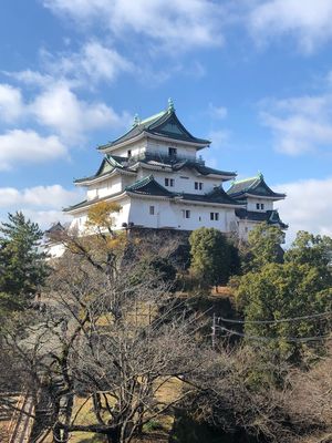 昼間観光は和歌山城と南京町へ