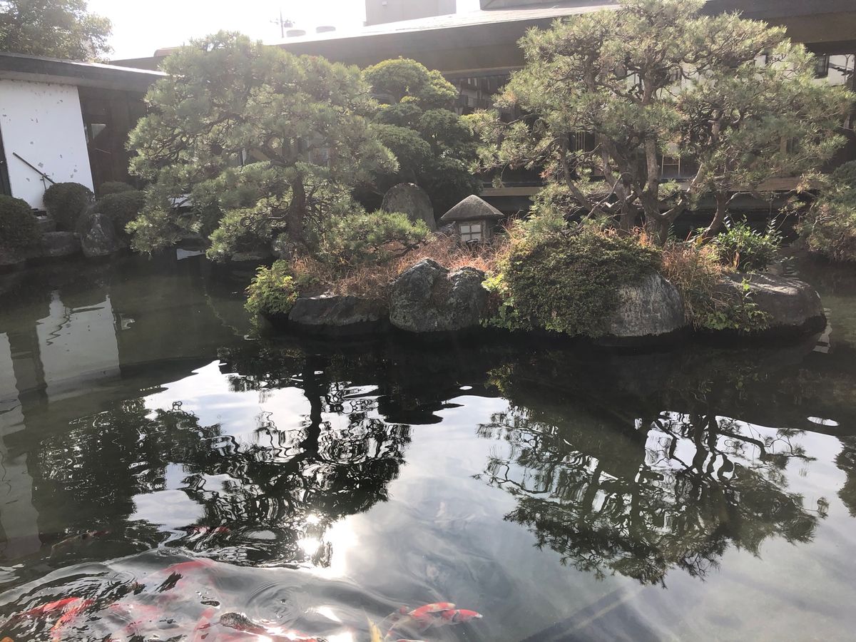 昼間はお馬を...