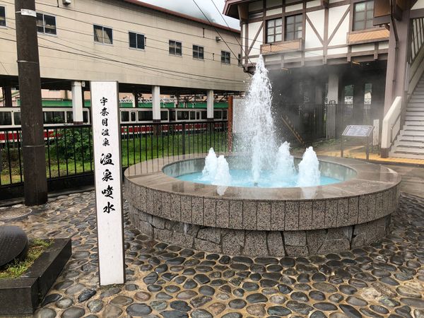 日本・福井県「さゆりさんチケットで」の写真：オッチャンの休日倶楽部🍺