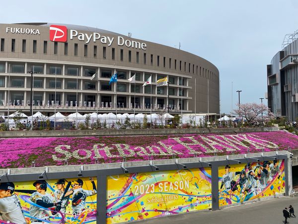 日本・福岡県「ソフトバンク！」の写真