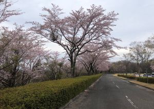 白河の関を越え