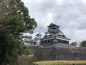 鹿児島イン→新幹線→熊本アウト✈️