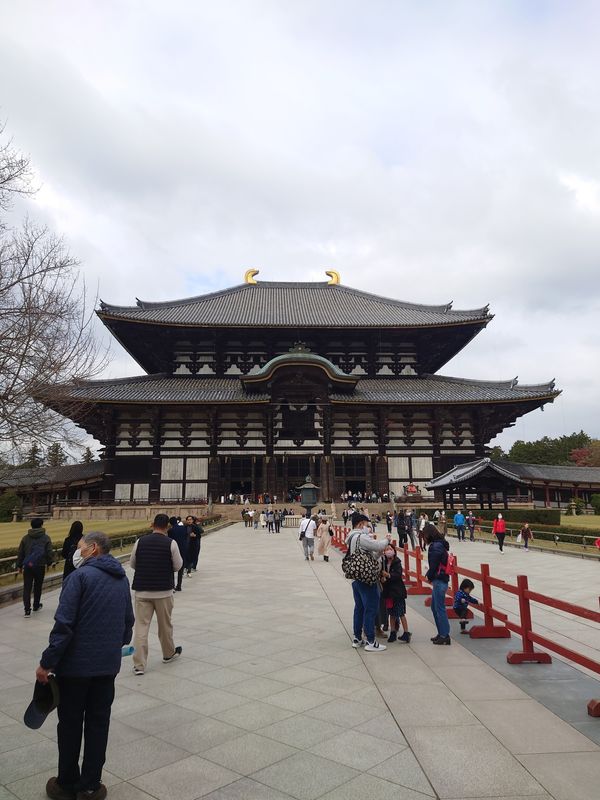 日本・奈良市「東大寺 in 奈良」の写真