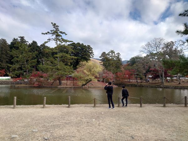 日本・奈良市「東大寺 in 奈良」の写真