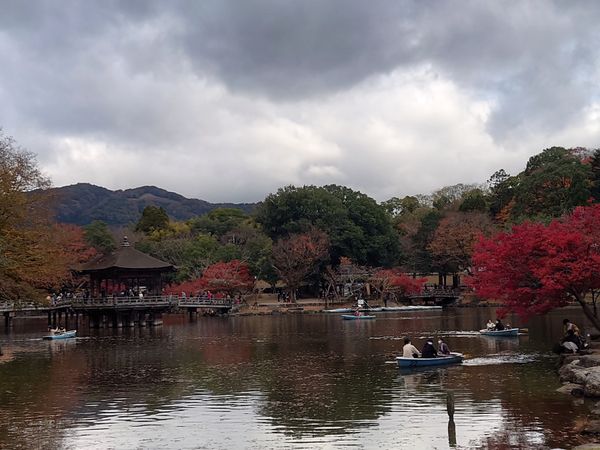 日本・奈良市「東大寺 in 奈良」の写真