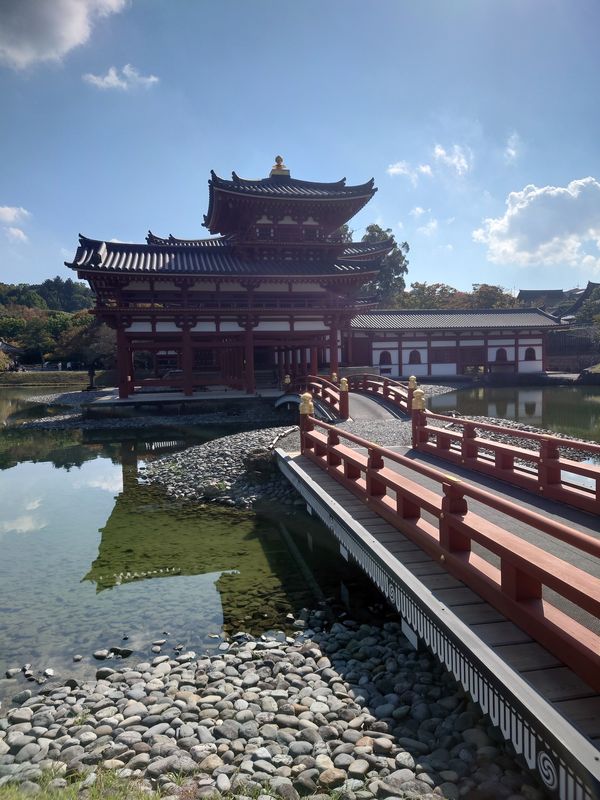 日本・京都府「平等院鳳凰堂 in 京都」の写真
