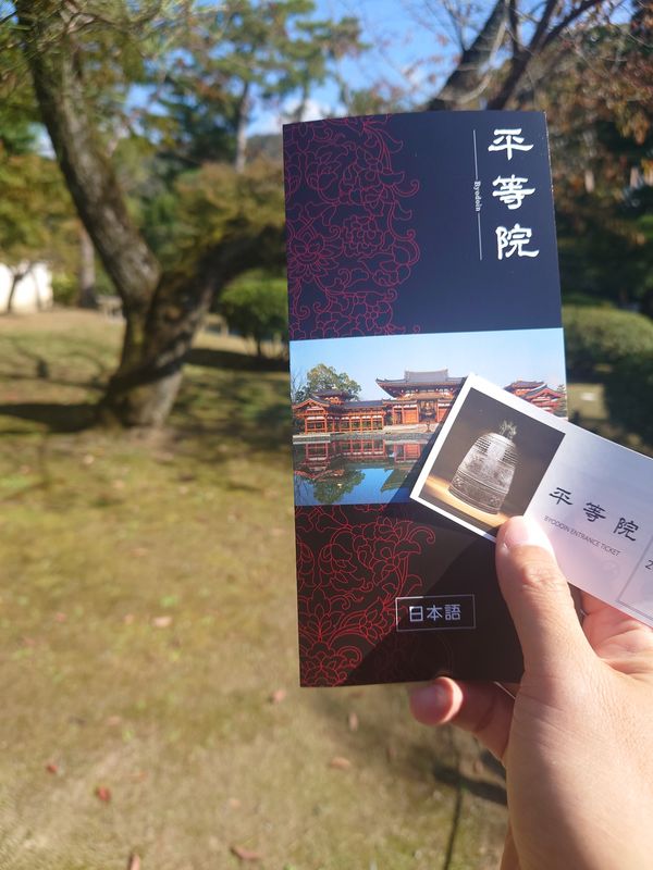 日本・京都府「平等院鳳凰堂 in 京都」の写真