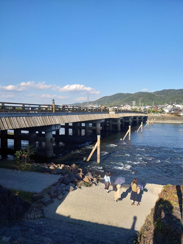 日本・京都府「平等院鳳凰堂 in 京都」の写真