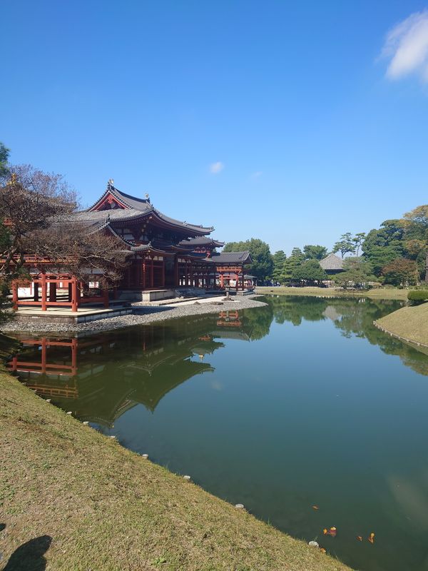 日本・京都府「平等院鳳凰堂 in 京都」の写真