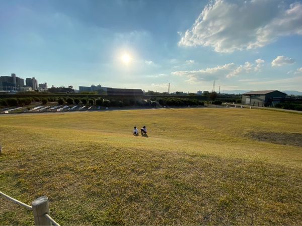 日本・京都府「平等院鳳凰堂 in 京都」の写真