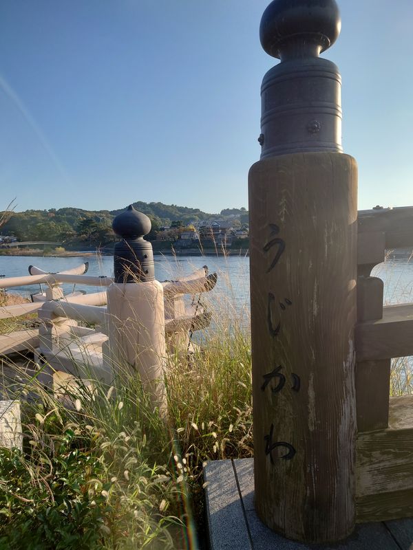 日本・京都府「平等院鳳凰堂 in 京都」の写真