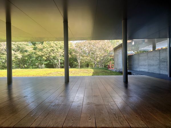 日本・京都府「平等院鳳凰堂 in 京都」の写真