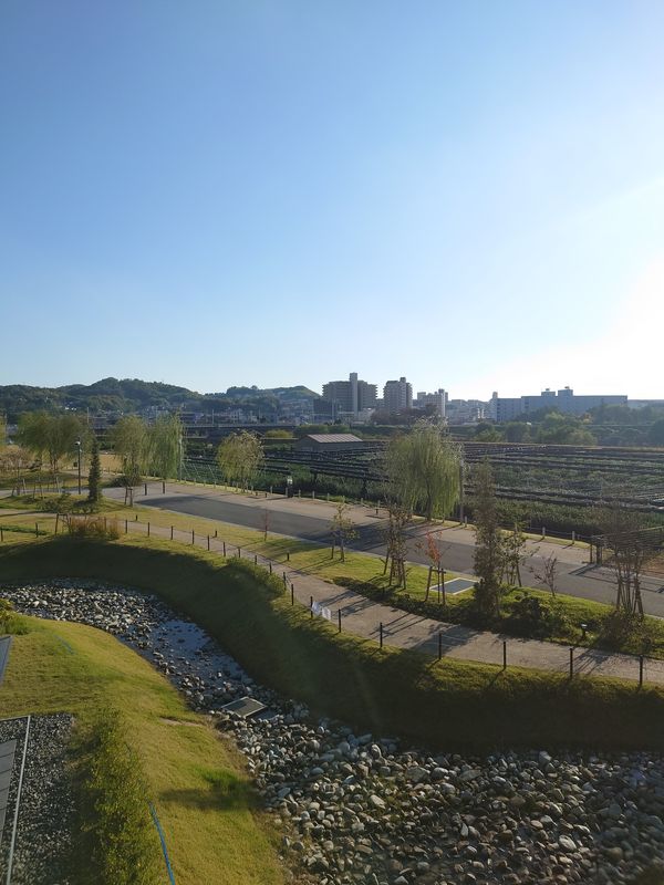 日本・京都府「平等院鳳凰堂 in 京都」の写真