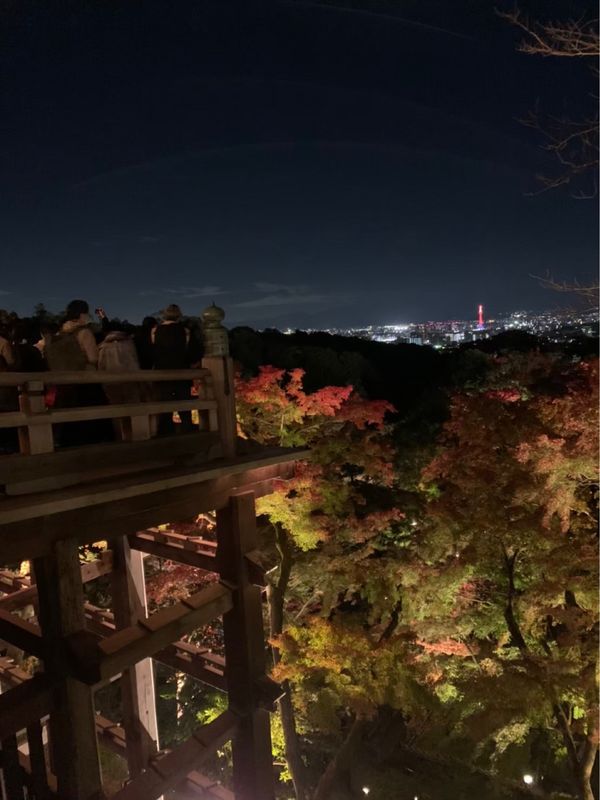 日本・京都府「紅葉旅行 in 京都」の写真