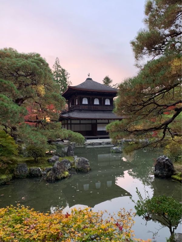 日本・京都府「紅葉旅行 in 京都」の写真