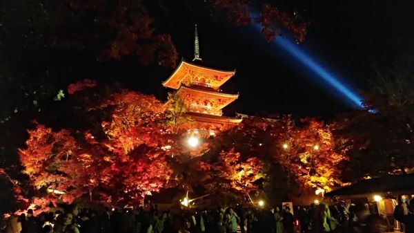 日本・京都府「紅葉旅行 in 京都」の写真