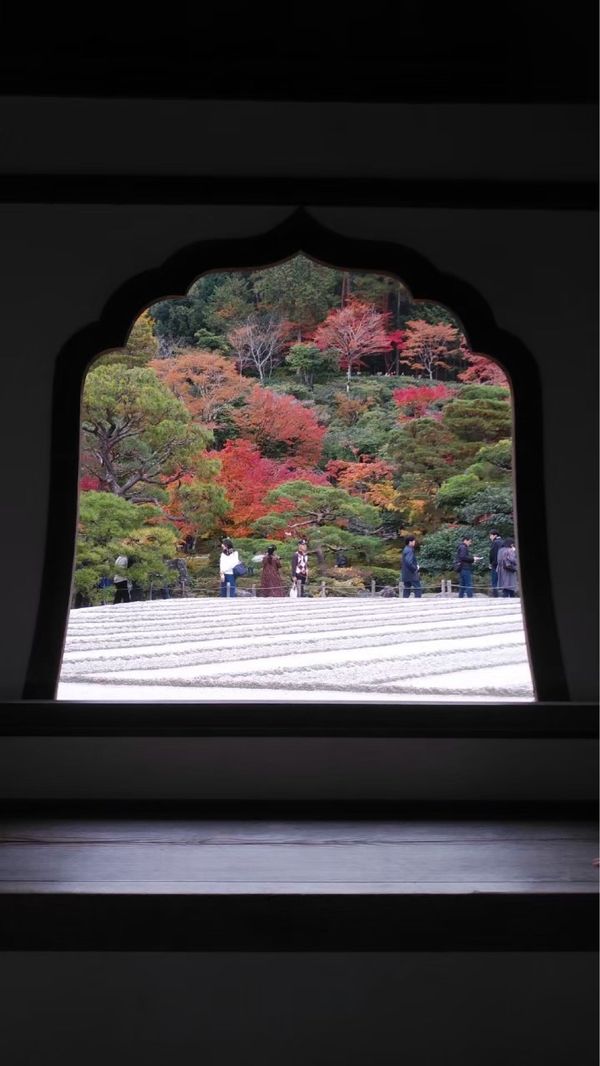 日本・京都府「紅葉旅行 in 京都」の写真