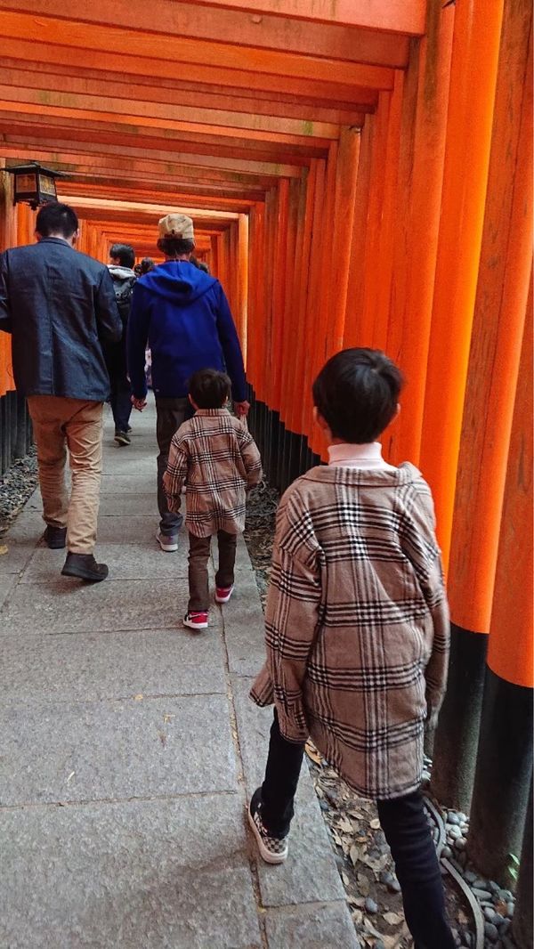 日本・京都府「紅葉旅行 in 京都」の写真