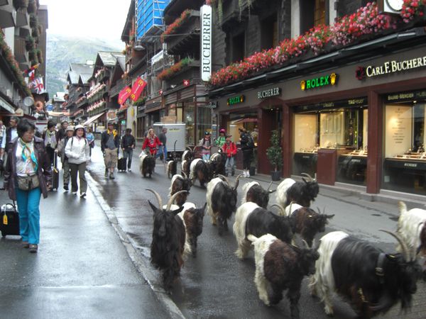 スイス・ジュネーブ「ブライトホルン雪山登山」の写真