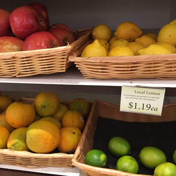 アメリカ(米国)「ハワイ」の写真