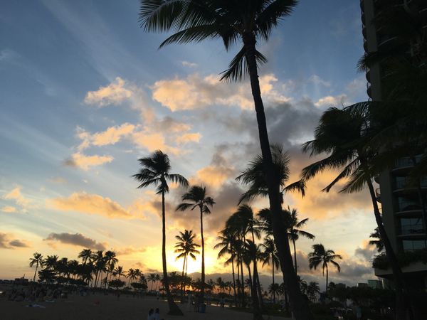 アメリカ(米国)「ハワイ」の写真