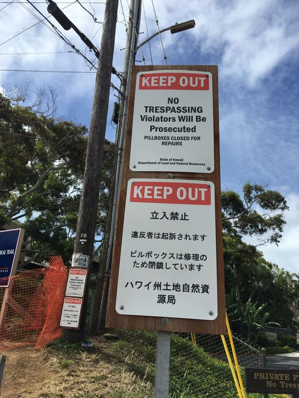 アメリカ(米国)「ハワイ」の写真