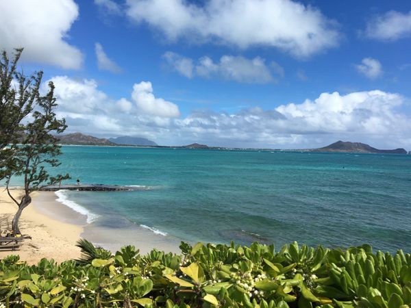 アメリカ(米国)「ハワイ」の写真