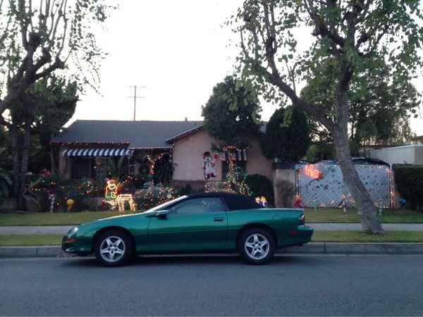 アメリカ(米国)・ロサンゼルス「ロサンゼルス短期留学」の写真