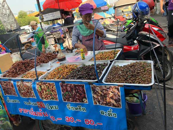 タイ・バンコク「タイ」の写真