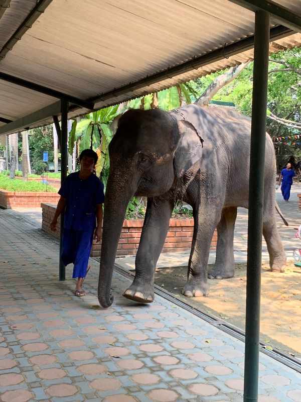 タイ・バンコク「タイ」の写真