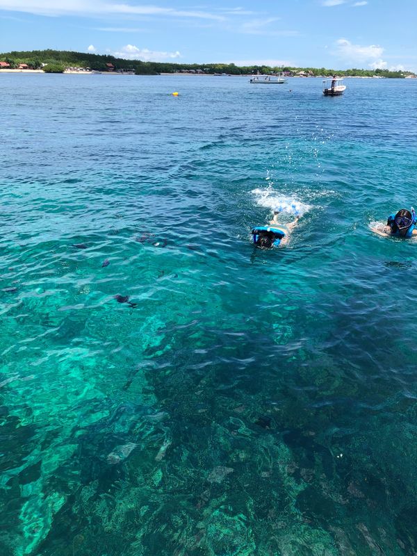 インドネシア「バリ島」の写真