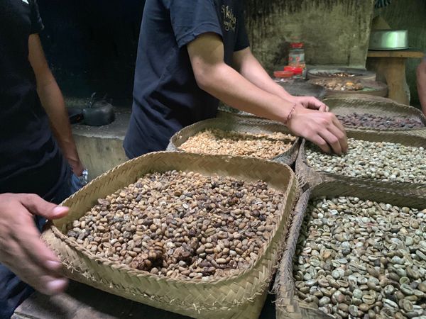 インドネシア「バリ島」の写真