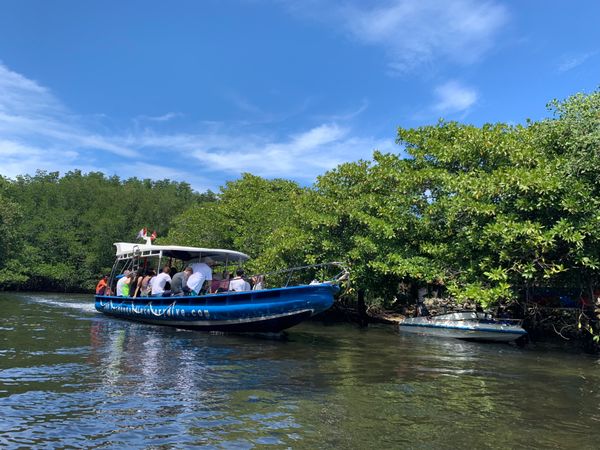インドネシア「バリ島」の写真