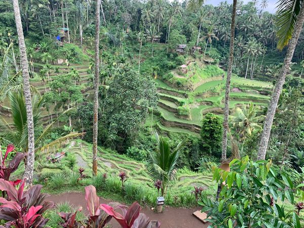 インドネシア「バリ島」の写真