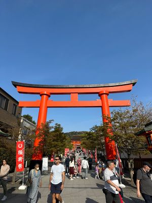 伏見稲荷神社に行って参りました
鳥居が1000個もあります